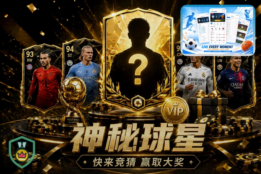 板球战报